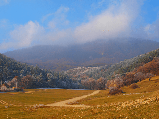 Codlea Romania Area